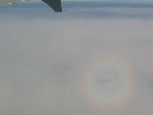 The glory around the shadow of our plane